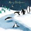 The Christmas Shop Boxed Penguin Cards| Packs Of Cards