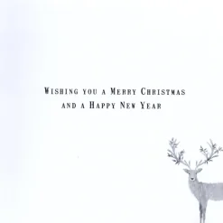 The Christmas Shop Boxed Reindeer Cards| Packs Of Cards