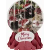 The Christmas Shop Christmas Puppies Globe Card| Single Cards