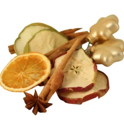 The Christmas Shop Craft Accessory Pack| Picks & Berries