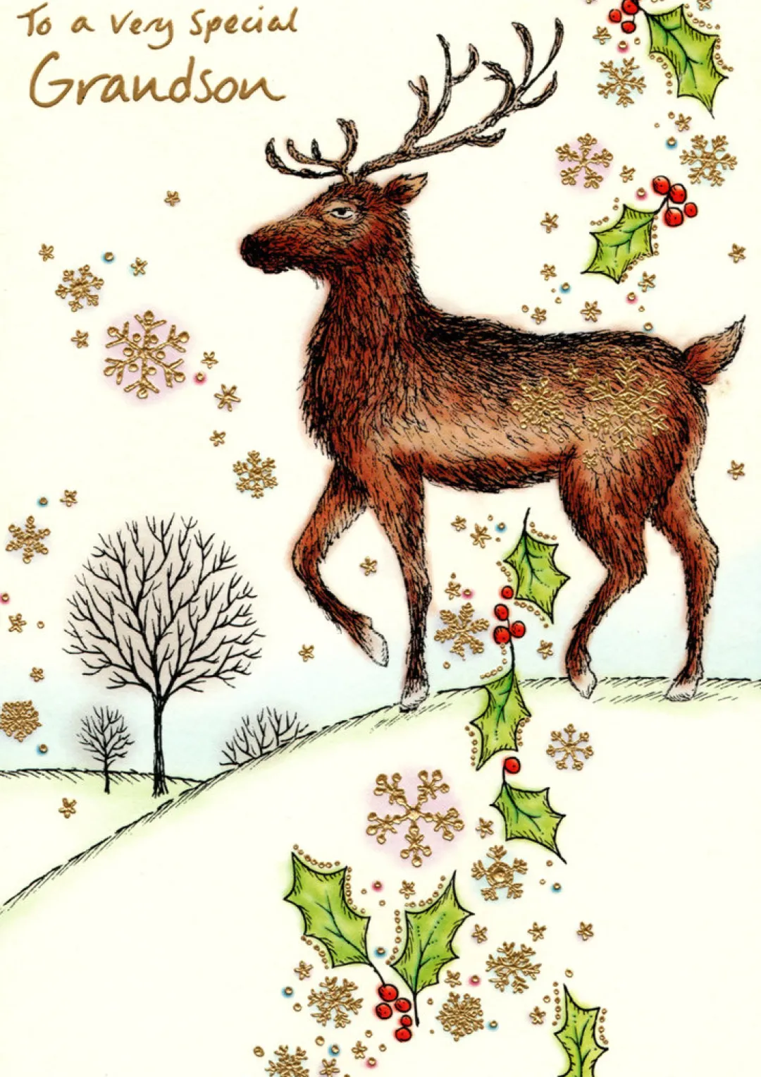 The Christmas Shop Grandson Christmas Card| Cards For Relatives