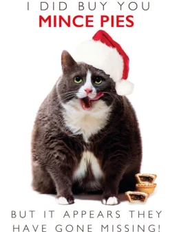 The Christmas Shop Pack Of 8 Christmas Cards| Packs Of Cards