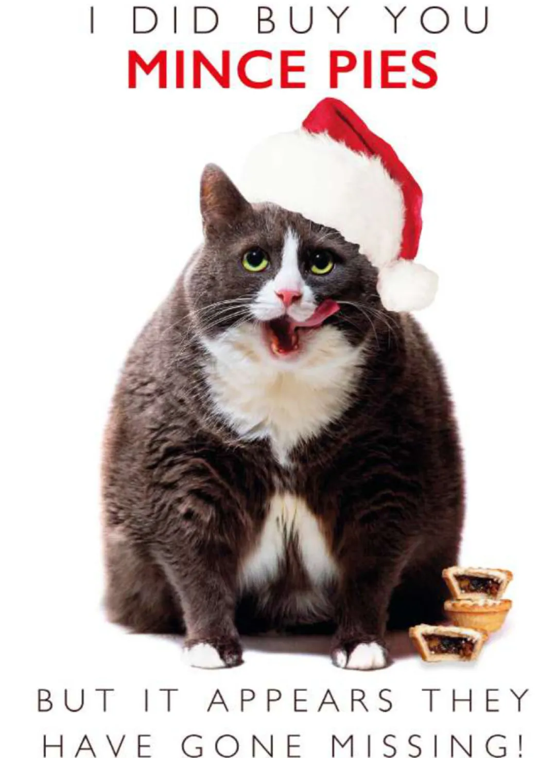 The Christmas Shop Pack Of 8 Christmas Cards| Packs Of Cards