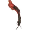 The Christmas Shop Red Long Tail Bird| Characters|Red Theme